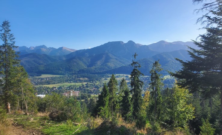 działka na sprzedaż - Zakopane
