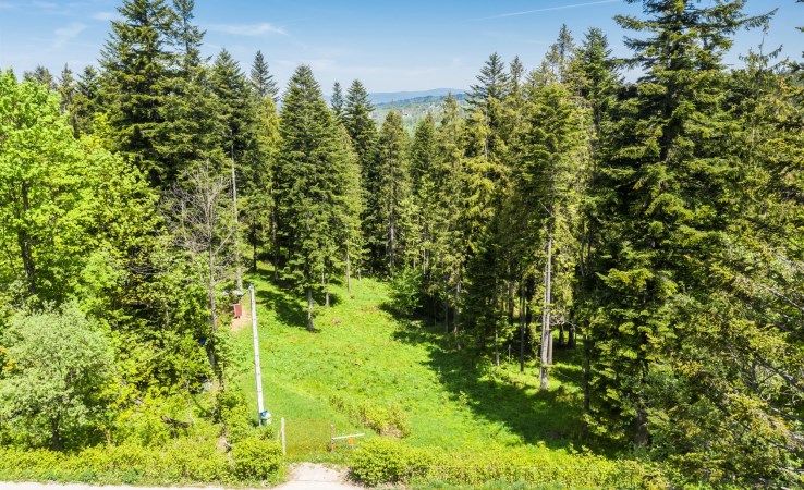 działka na sprzedaż - Zakopane